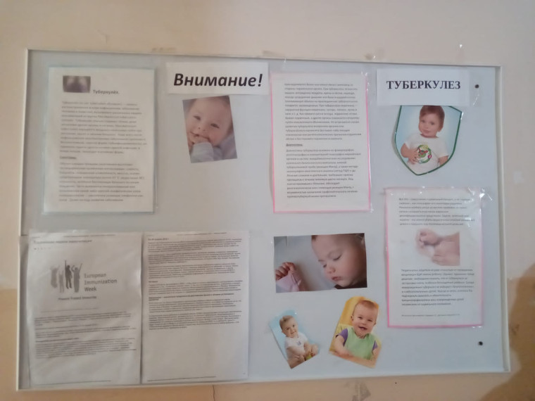 Профилактика туберкулеза.